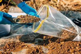 Soil sampling