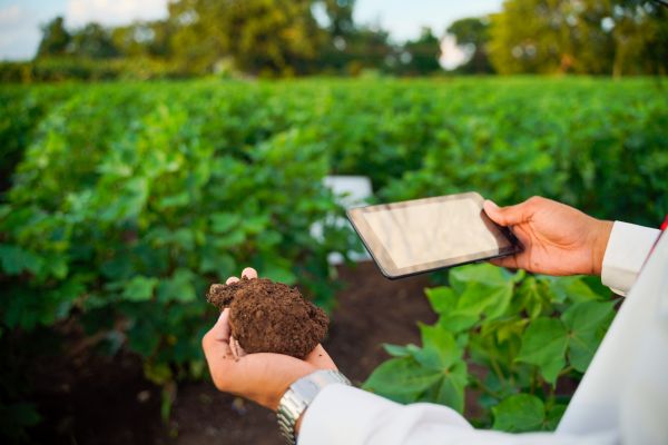 Soil sampling
