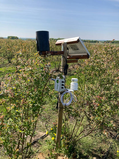 Wetterstation