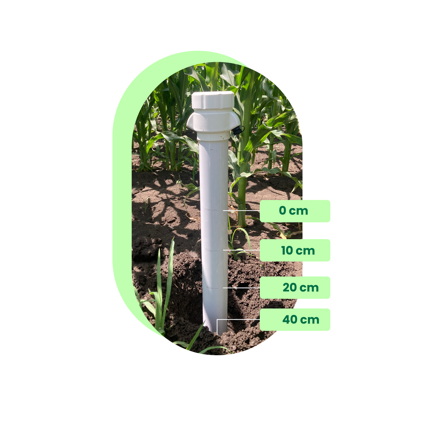 Öntözési haladó csomag