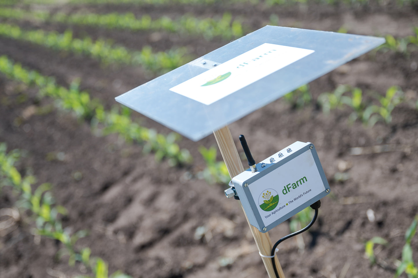 Soil probe with pH sensor